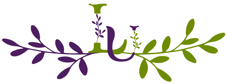 Lammerergut und Apartment Unterköck